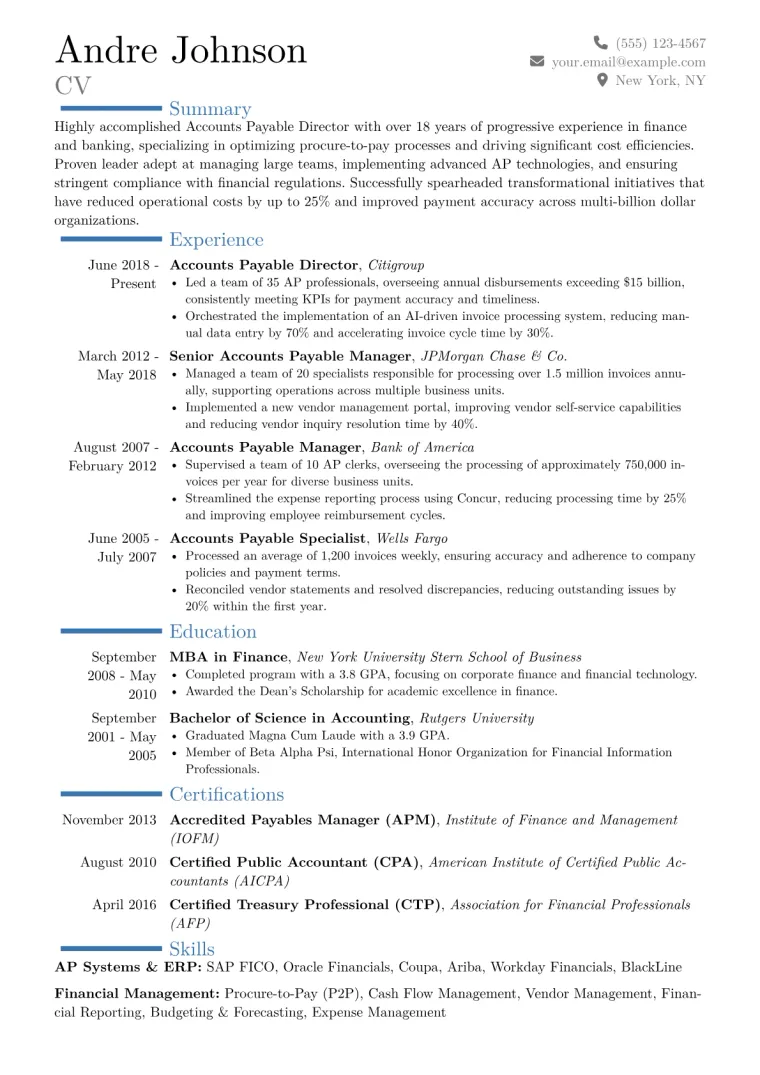 Accounts Payable Director Resume Example CV template preview