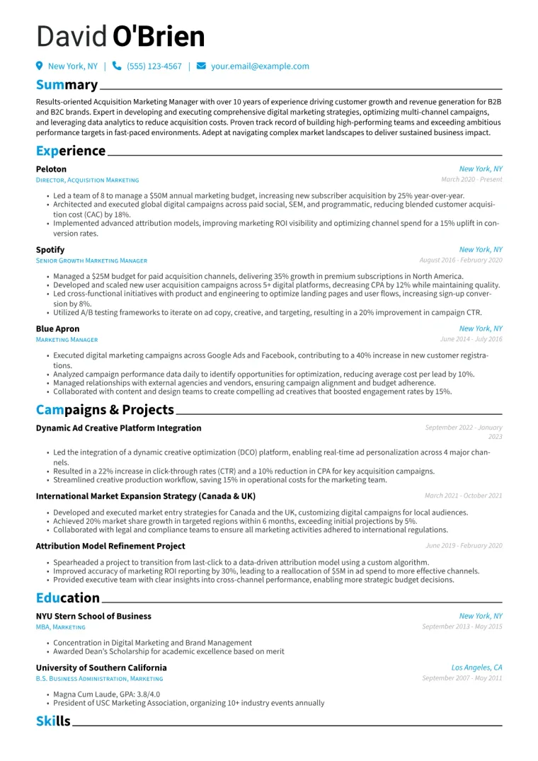 Acquisition Marketing Manager Resume Example CV template preview
