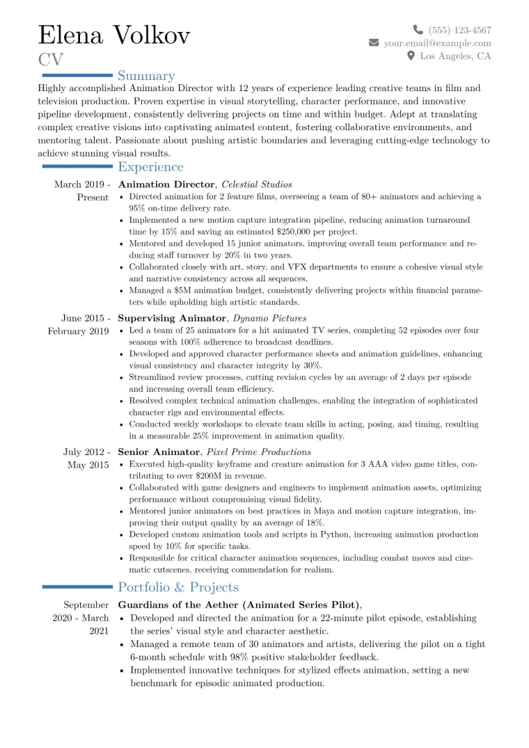 Animation Director Resume Example CV template preview