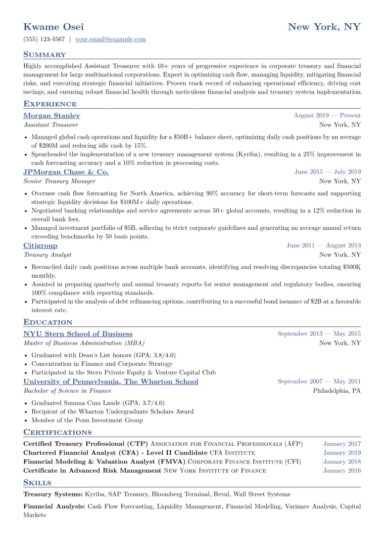 Assistant Treasurer Resume Example CV template preview
