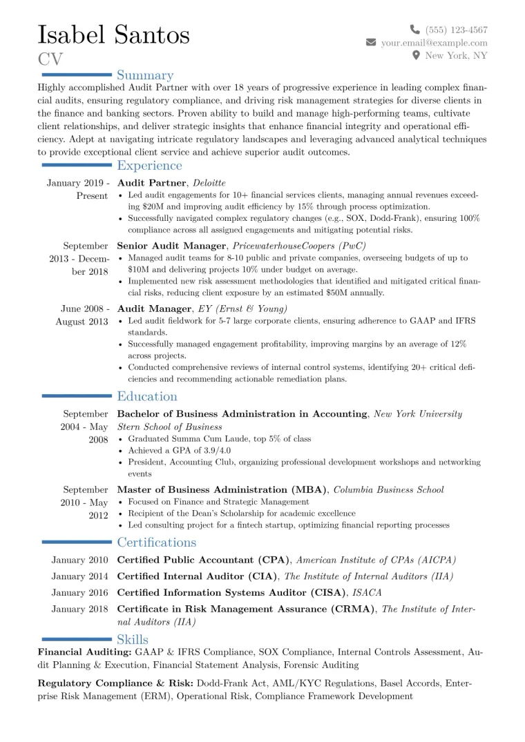 Audit Partner Resume Example CV template preview
