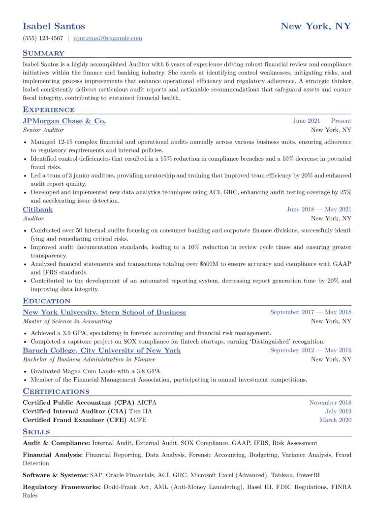 Auditor Resume Example