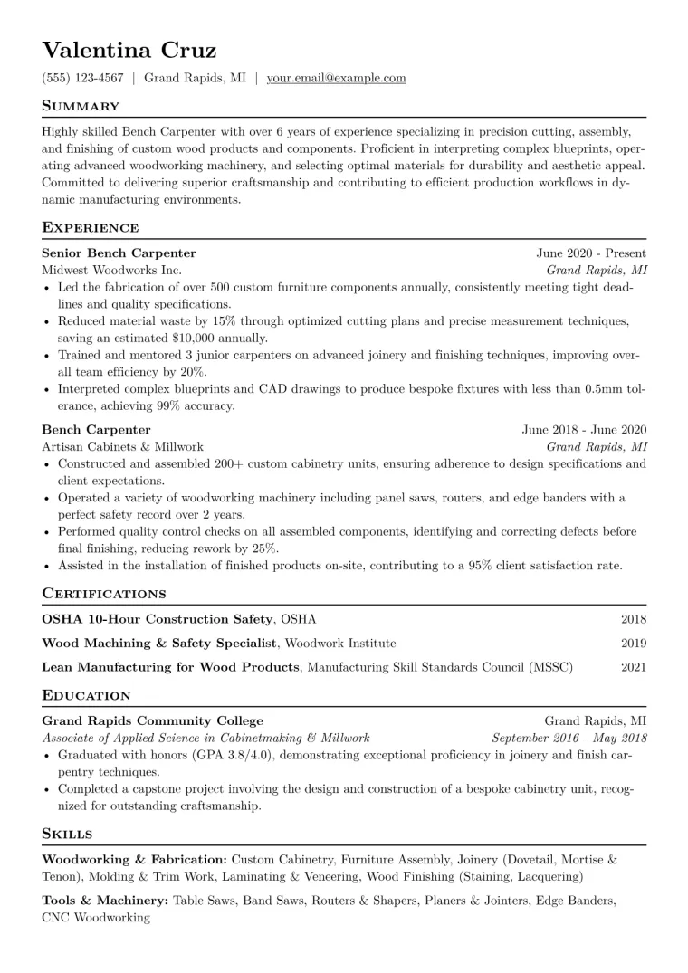 Bench Carpenter Resume Example CV template preview