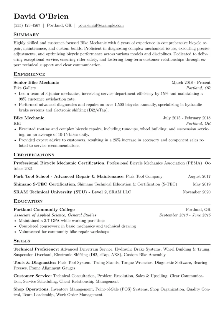 Bike Mechanic Resume Example CV template preview