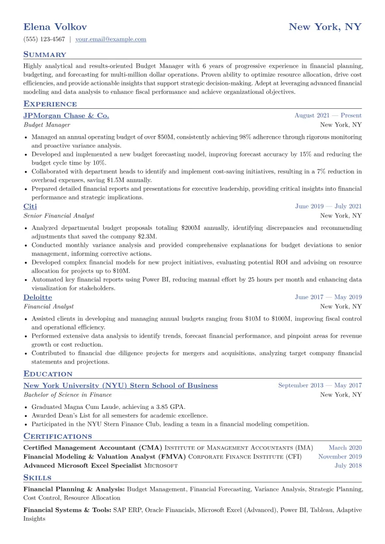 Budget Manager Resume Example CV template preview