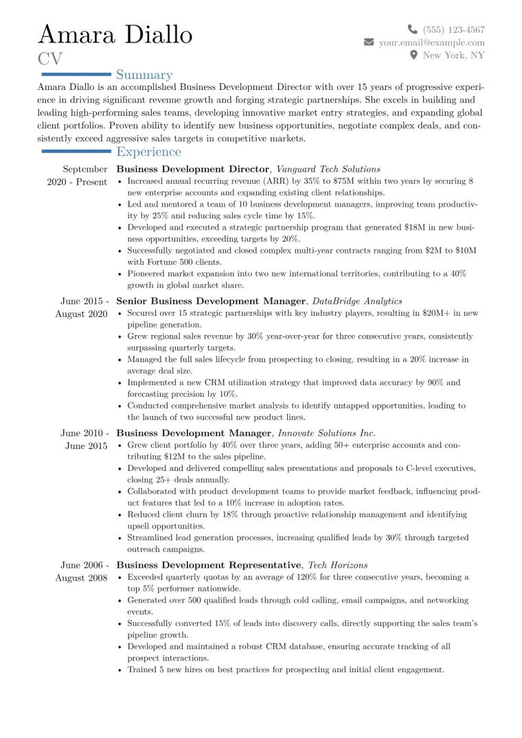 Business Development Director Resume Example CV template preview