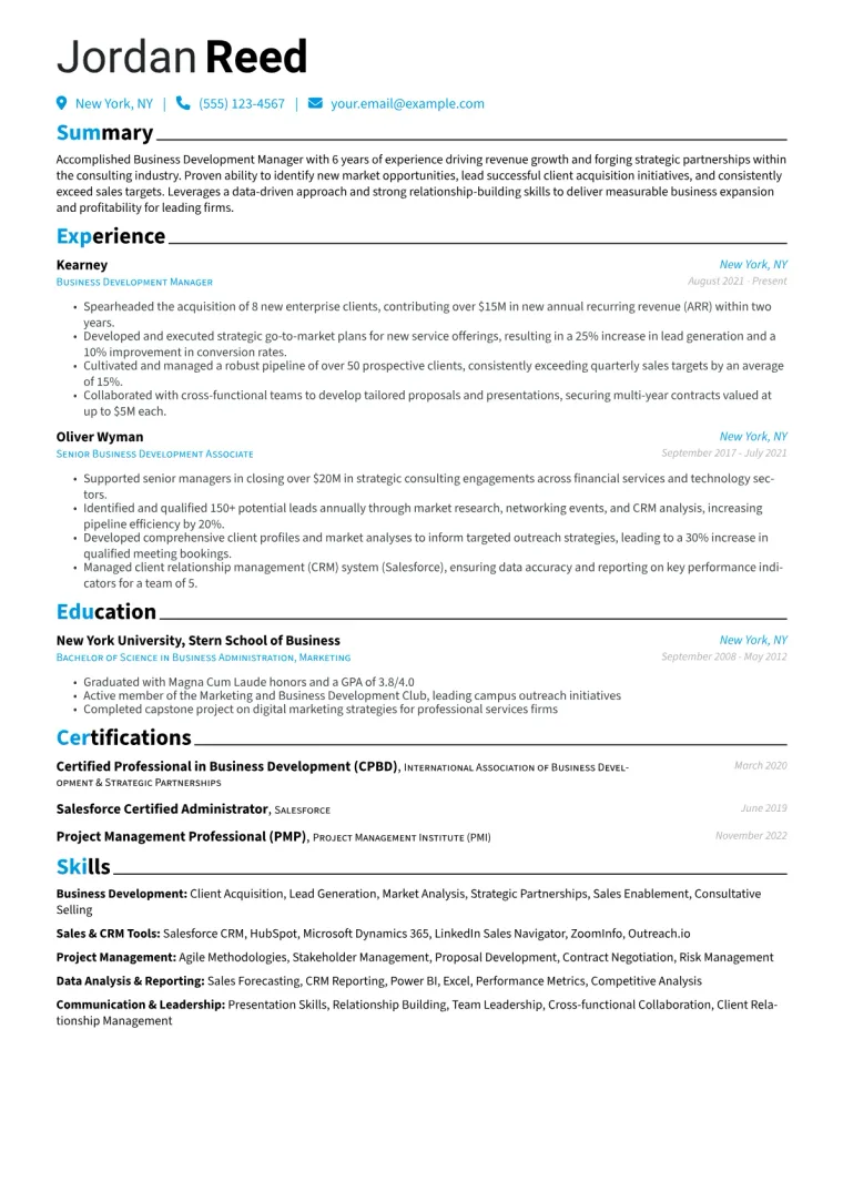 Business Development Manager Resume Example CV template preview