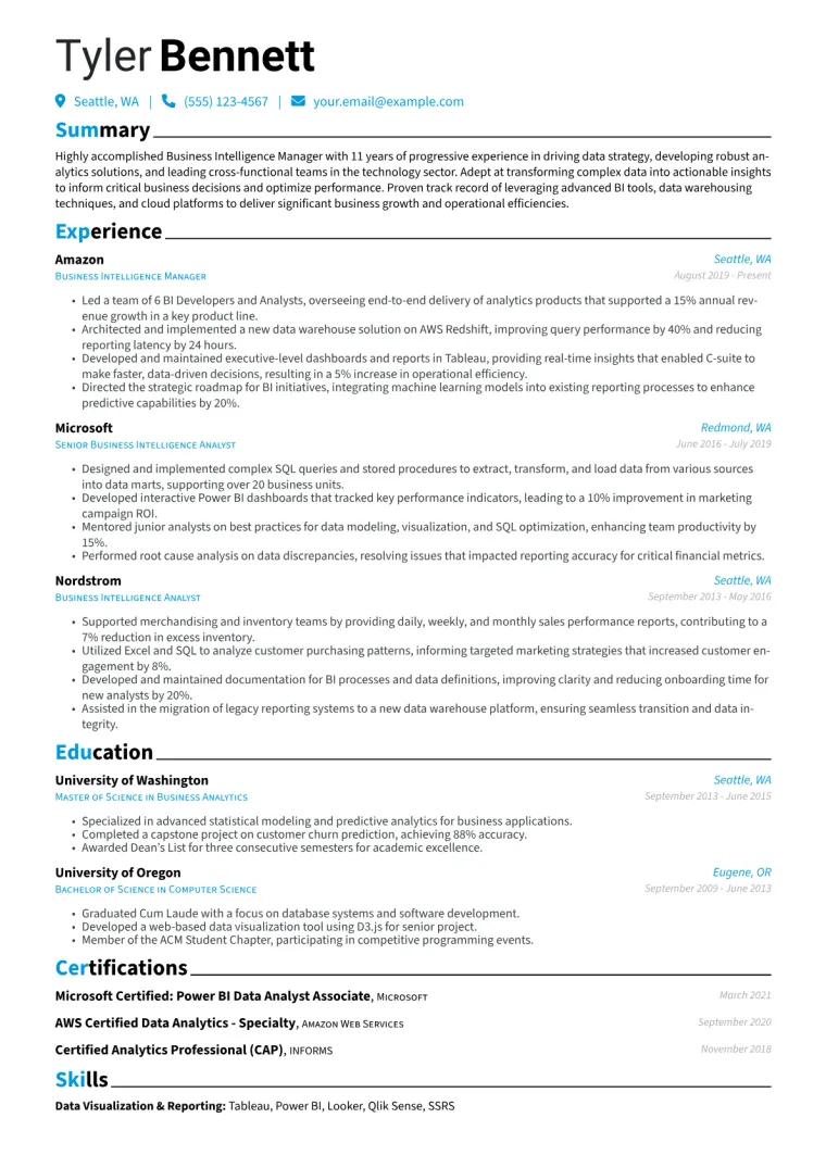 Business Intelligence Manager Resume Example CV template preview