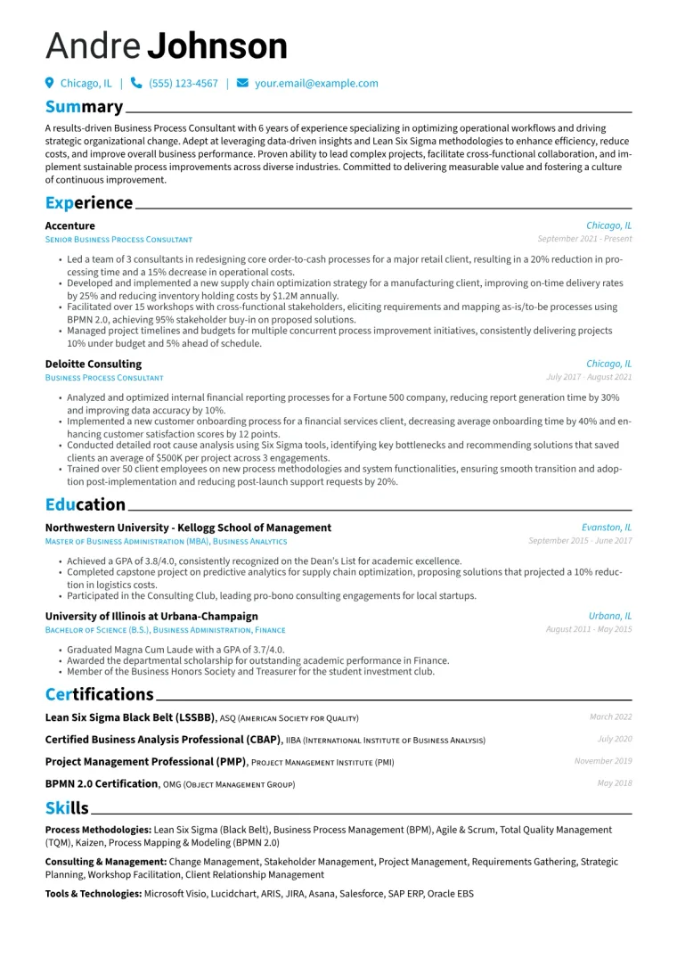 Business Process Consultant Resume Example CV template preview