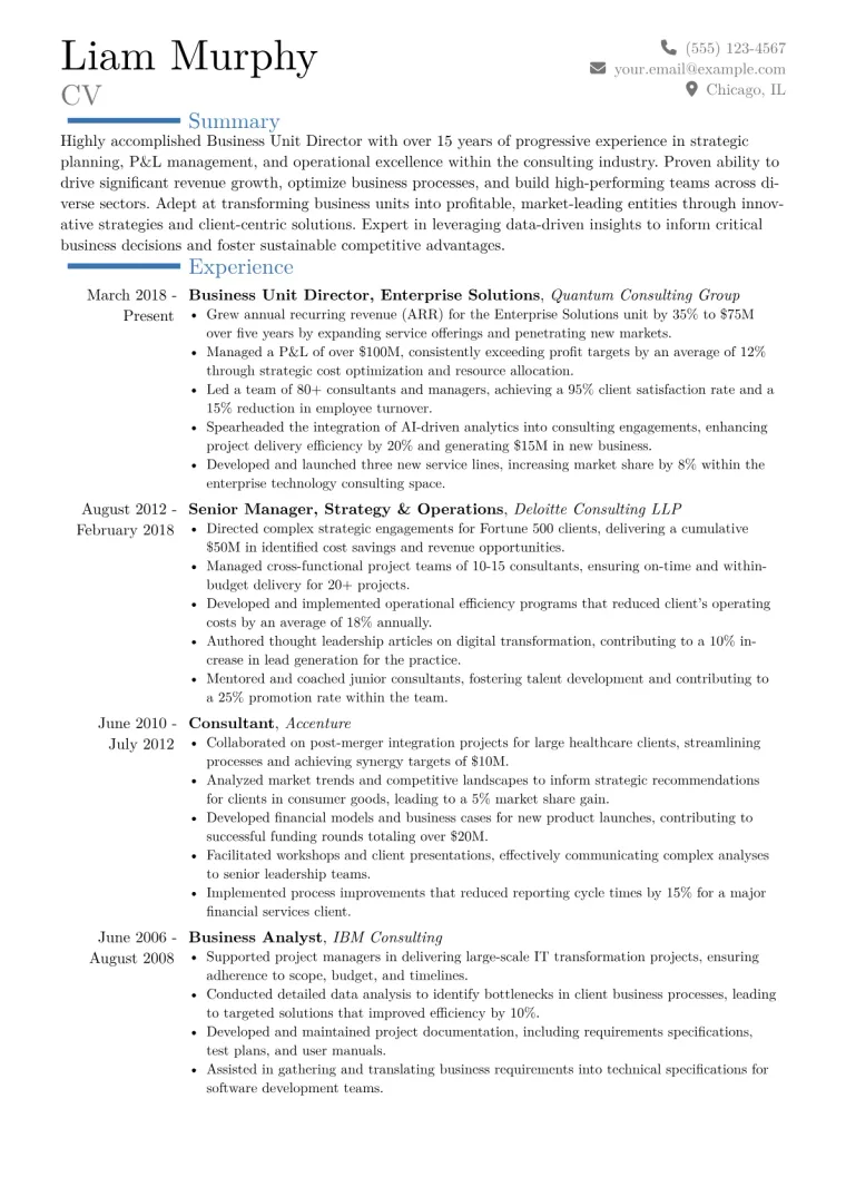 Business Unit Director Resume Example CV template preview