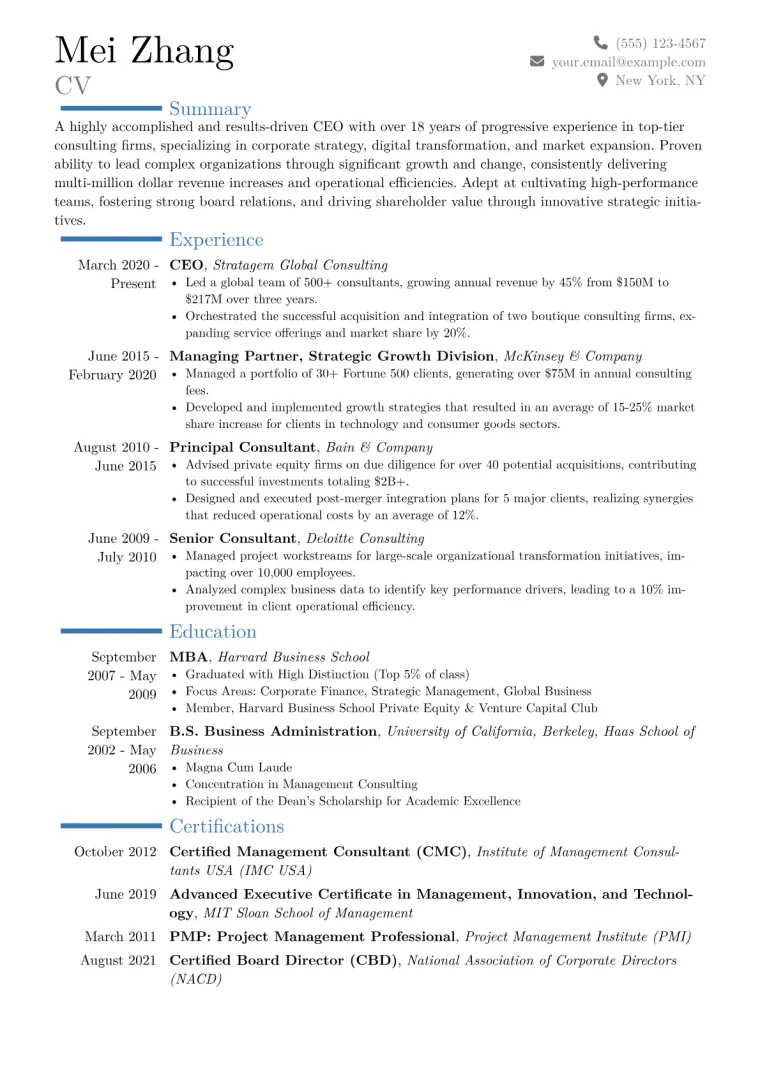 CEO Resume Example CV template preview