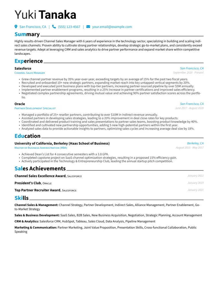 Channel Sales Manager Resume Example CV template preview