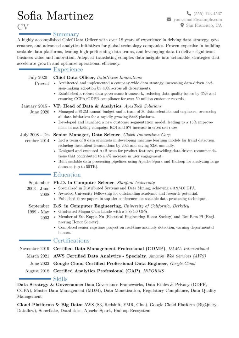 Chief Data Officer Resume Example CV template preview