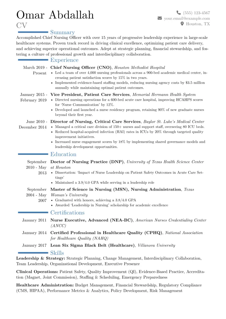 Chief Nursing Officer Resume Example CV template preview