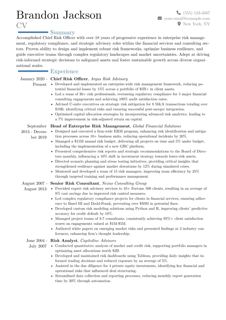 Chief Risk Officer Resume Example CV template preview