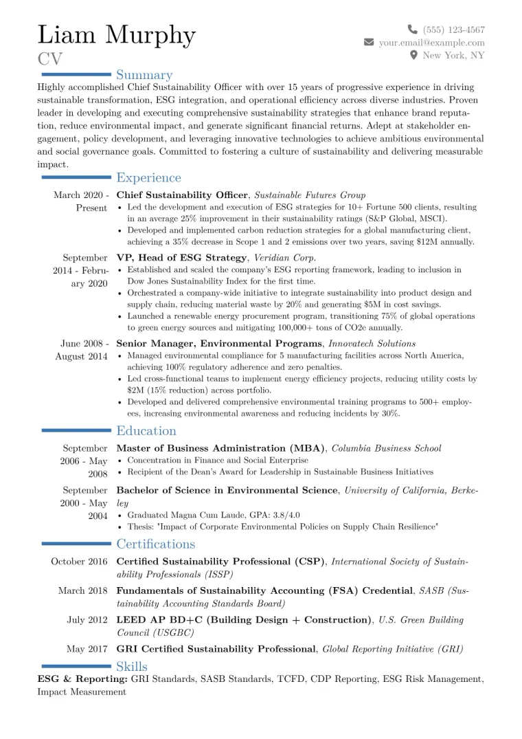 Chief Sustainability Officer Resume Example CV template preview