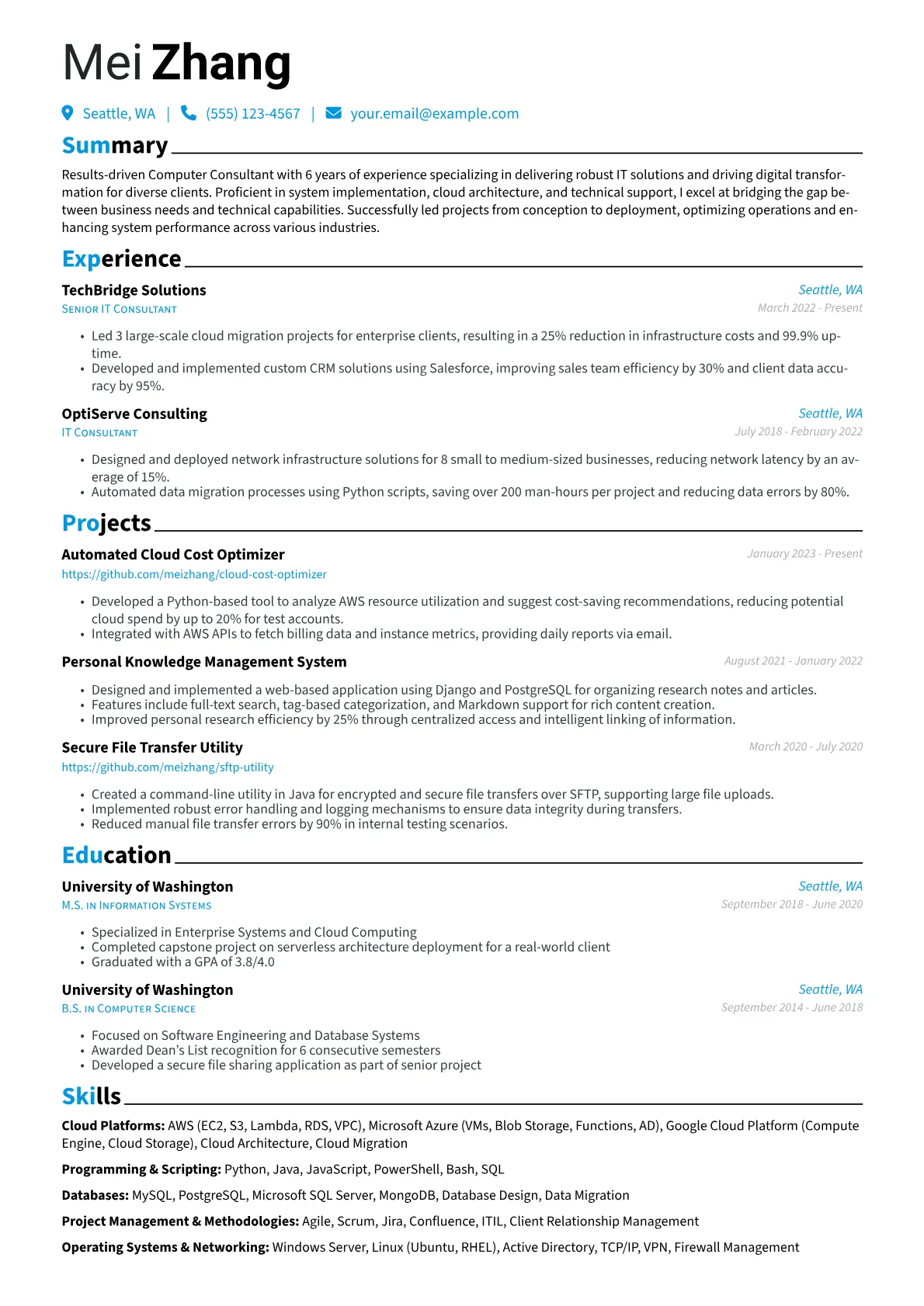 Computer Consultant Resume Example CV template - Page 1