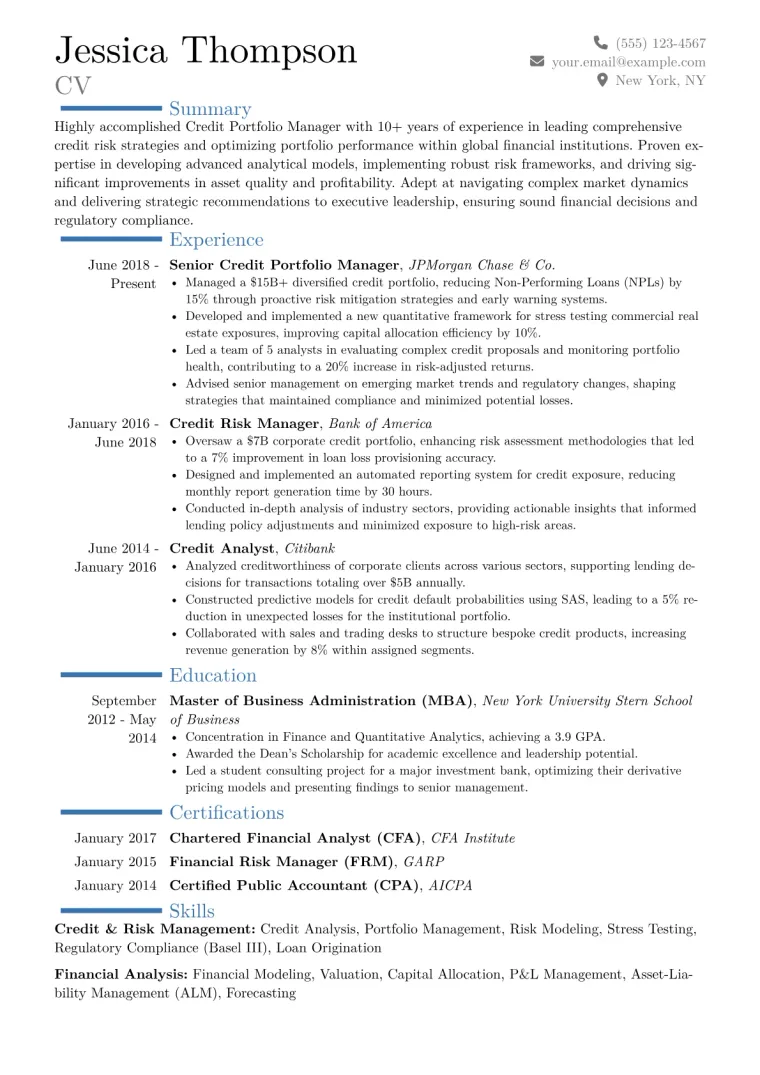 Credit Portfolio Manager Resume Example CV template preview