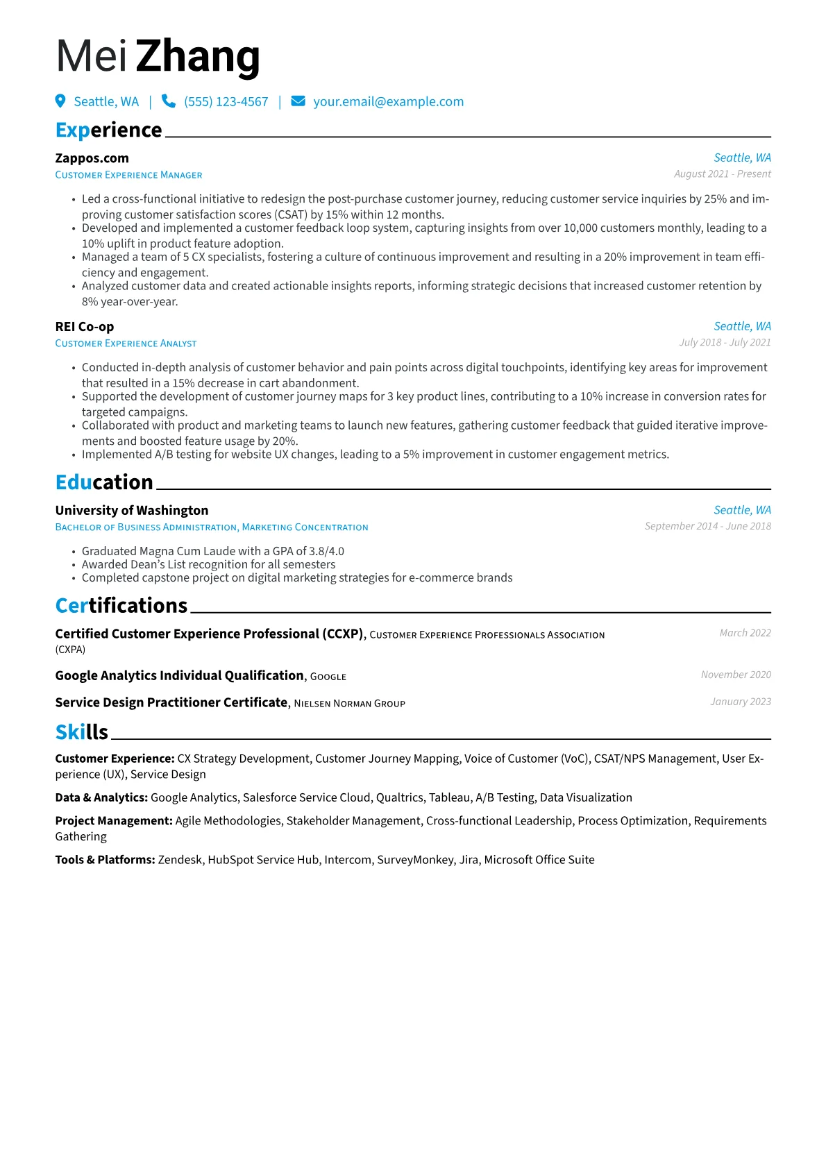 Customer Experience Manager Resume Example CV template - Page 1