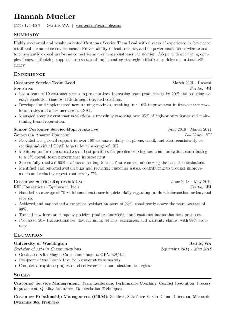 Customer Service Team Lead Resume Example CV template preview