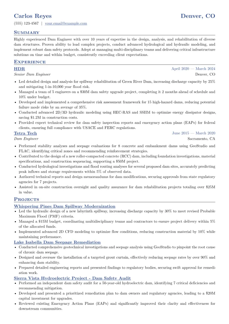 Dam Engineer Resume Example CV template preview