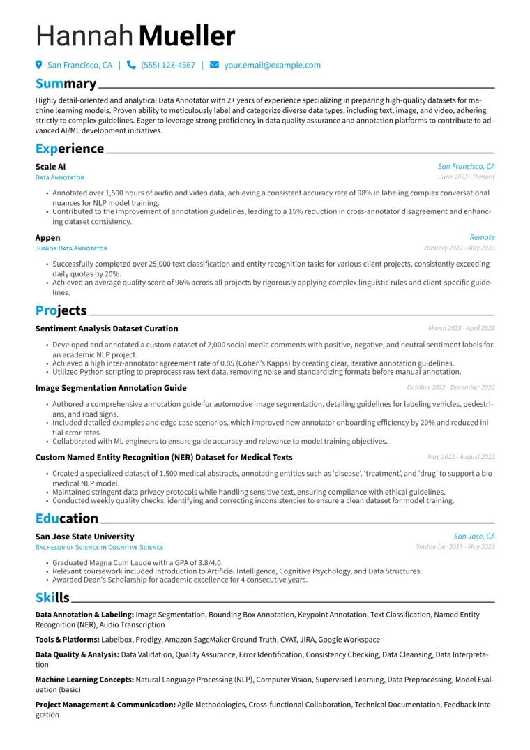 Data Annotator Resume Example CV template preview