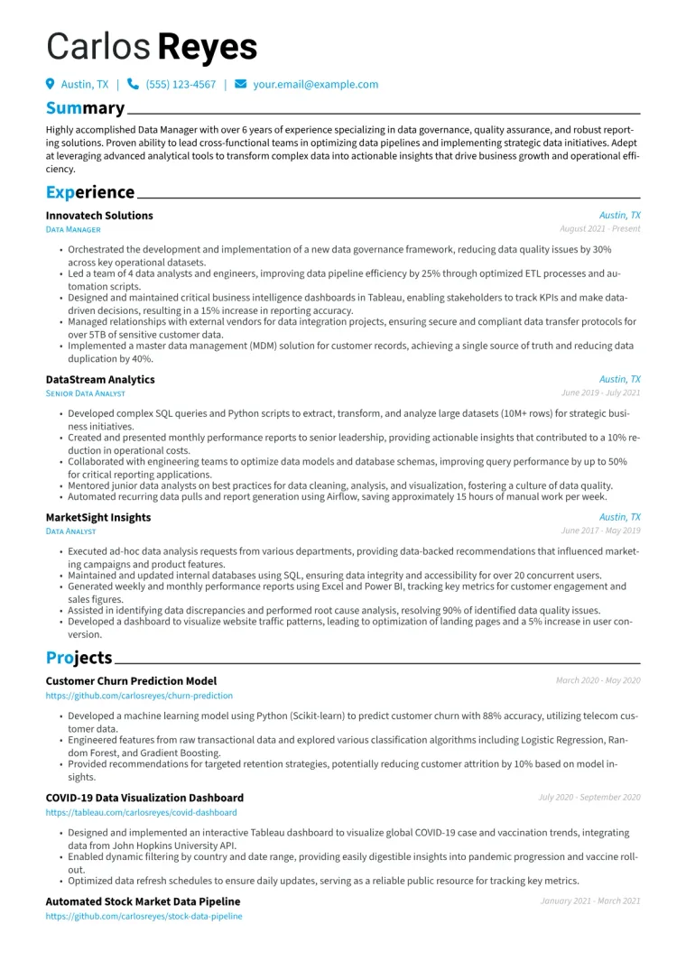 Data Manager Resume Example CV template preview