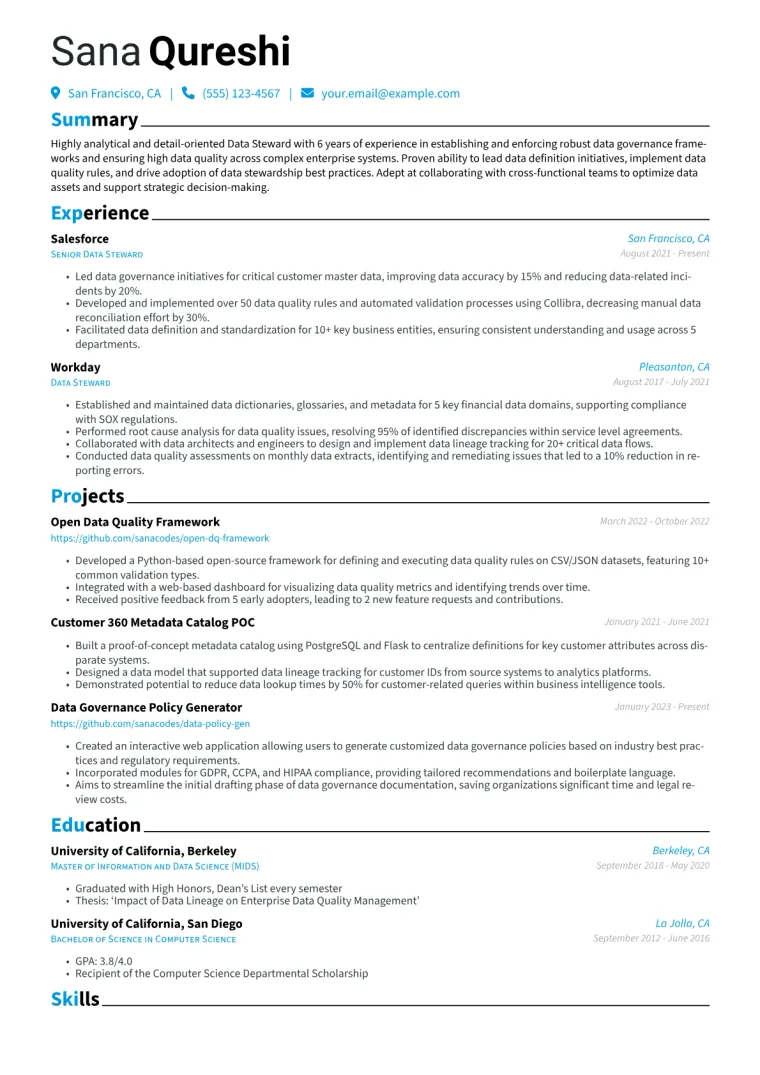 Data Steward Resume Example CV template preview