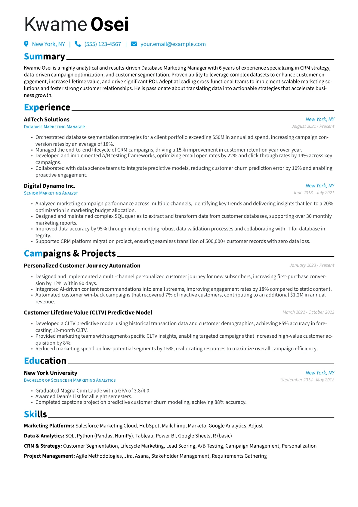 Database Marketing Manager Resume Example CV template - Page 1