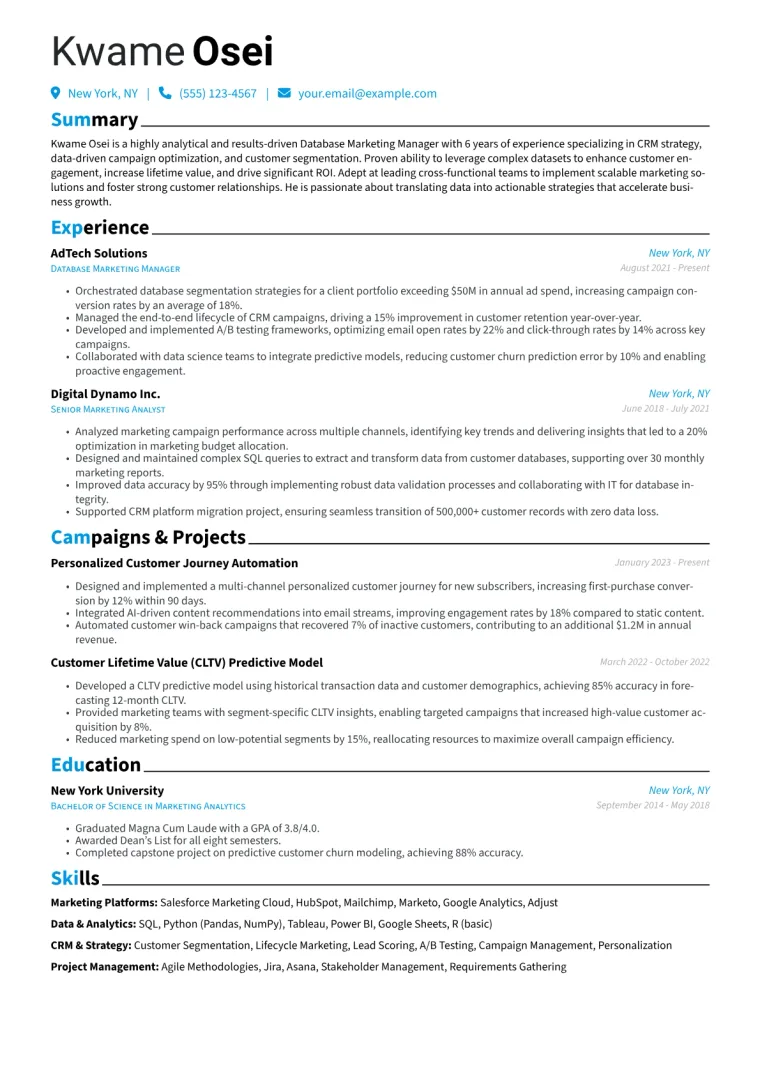 Database Marketing Manager Resume Example CV template preview