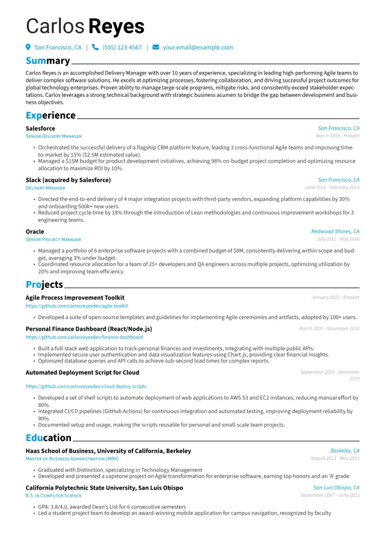 Delivery Manager Resume Example CV template preview