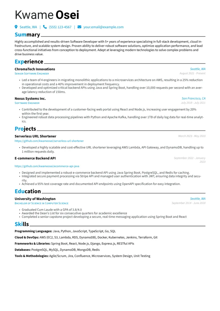 Developer Resume Example
