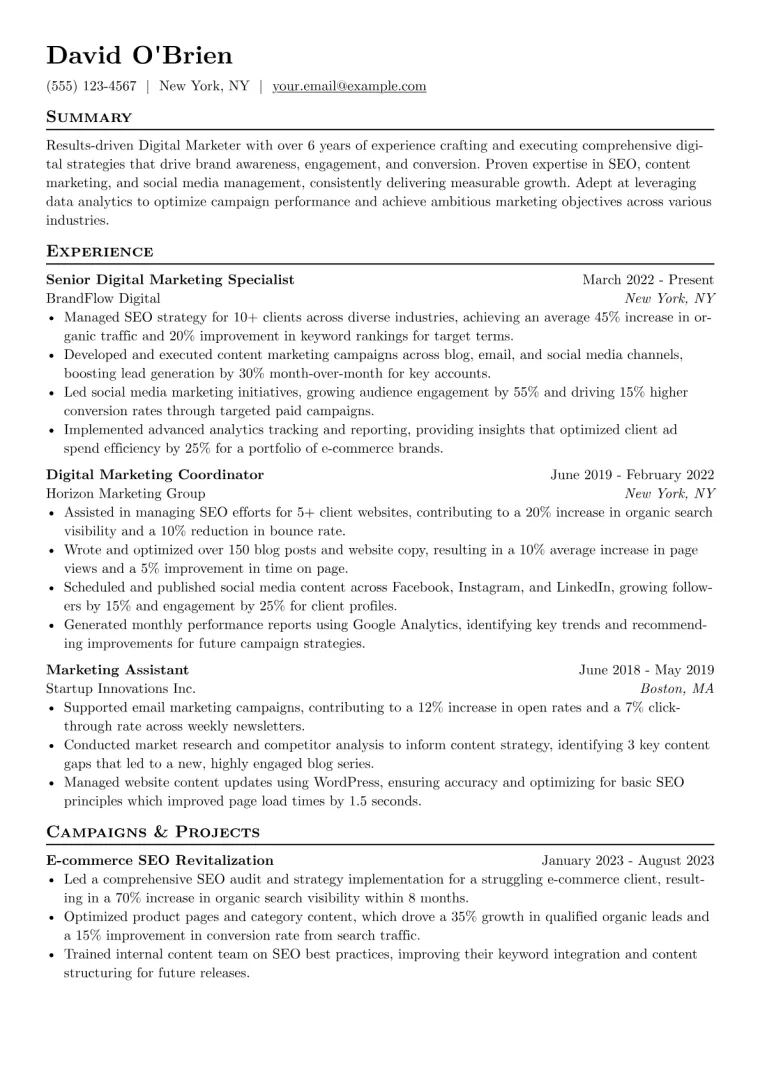 Digital Marketer Resume Example CV template preview