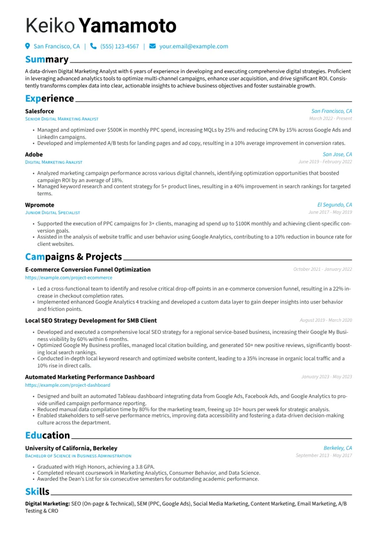 Digital Marketing Analyst Resume Example CV template preview
