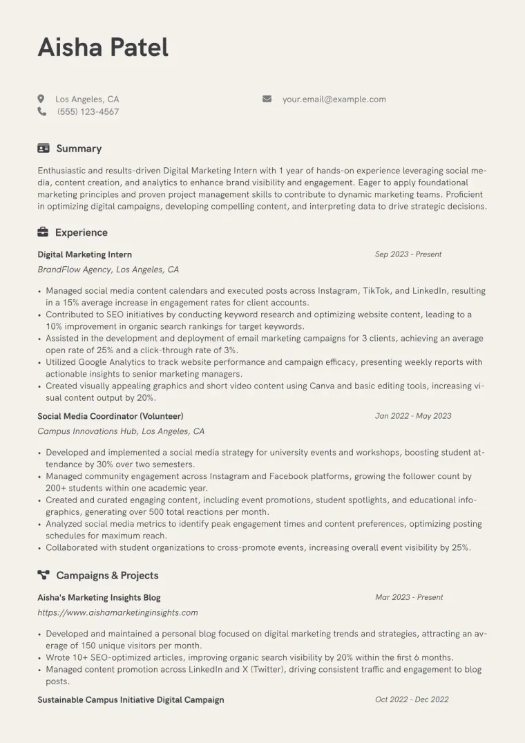 Digital Marketing Intern Resume Example CV template preview
