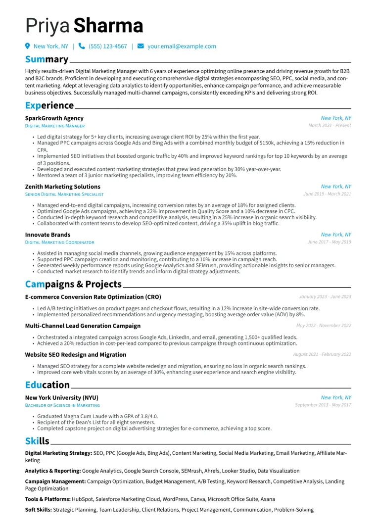 Digital Marketing Manager Resume Example CV template preview