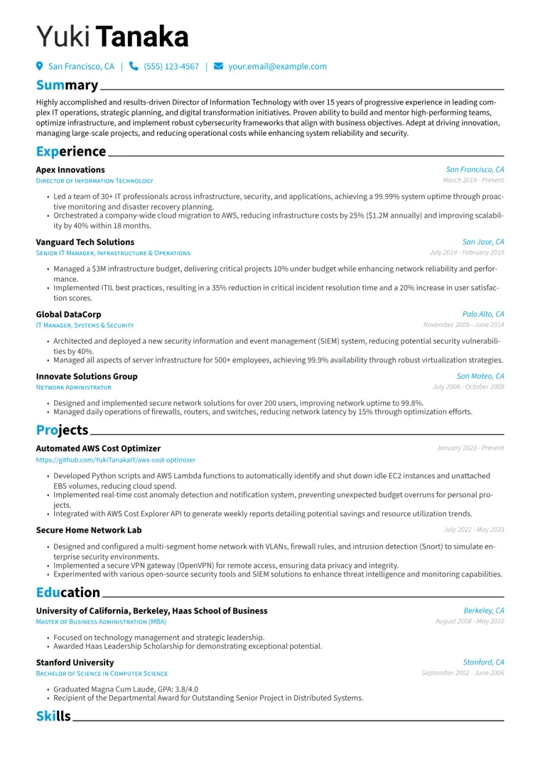 Director of Information Technology Resume Example CV template preview