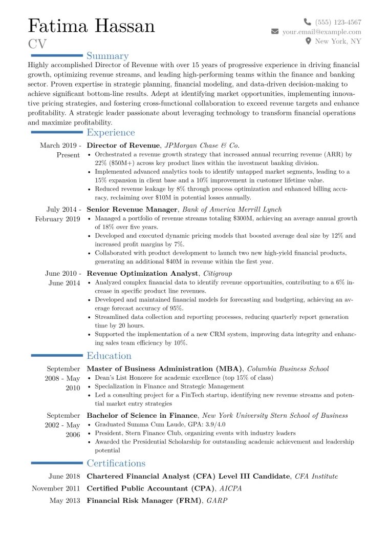 Director of Revenue Resume Example CV template preview