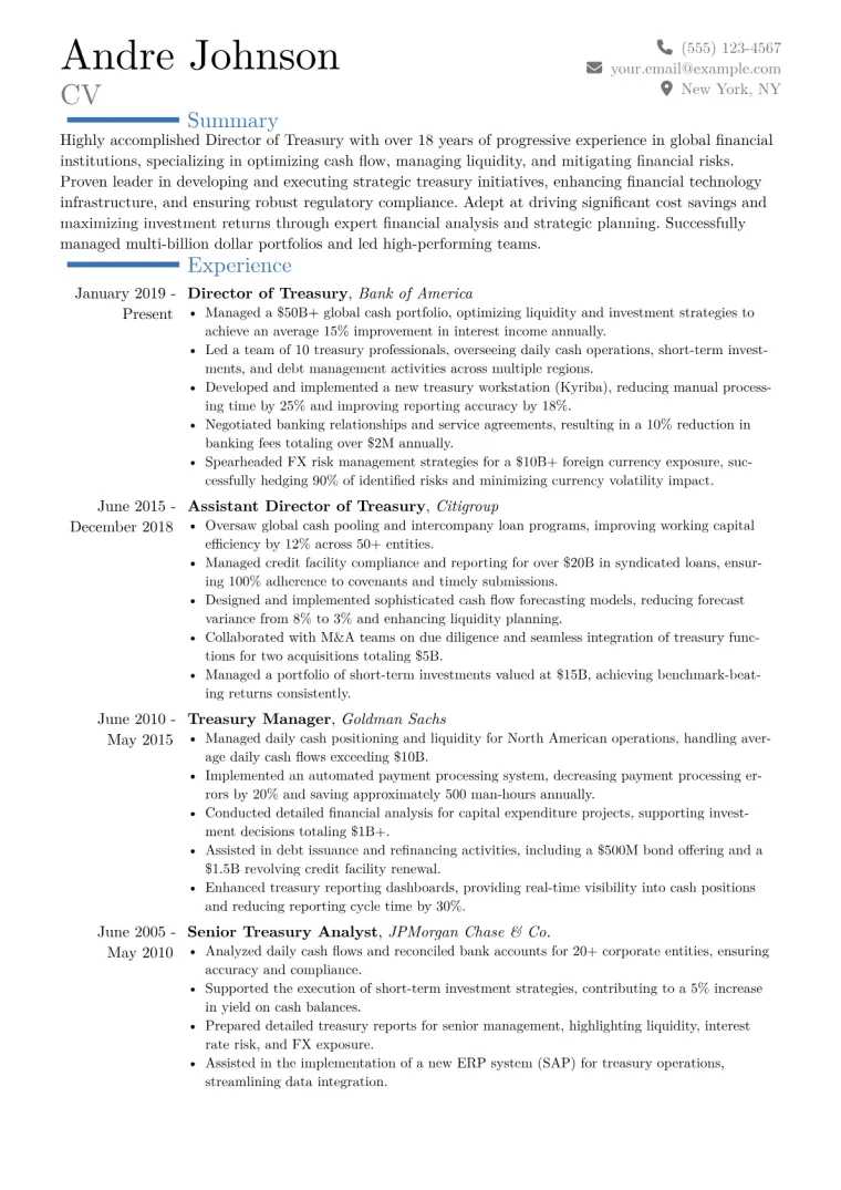 Director of Treasury Resume Example CV template preview
