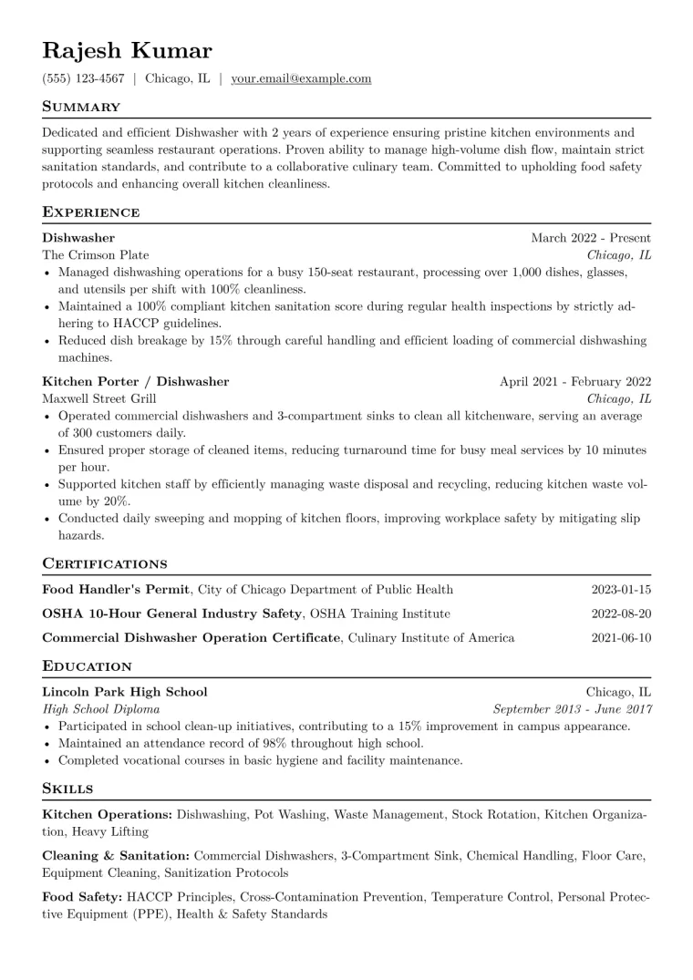 Dishwasher Resume Example CV template preview