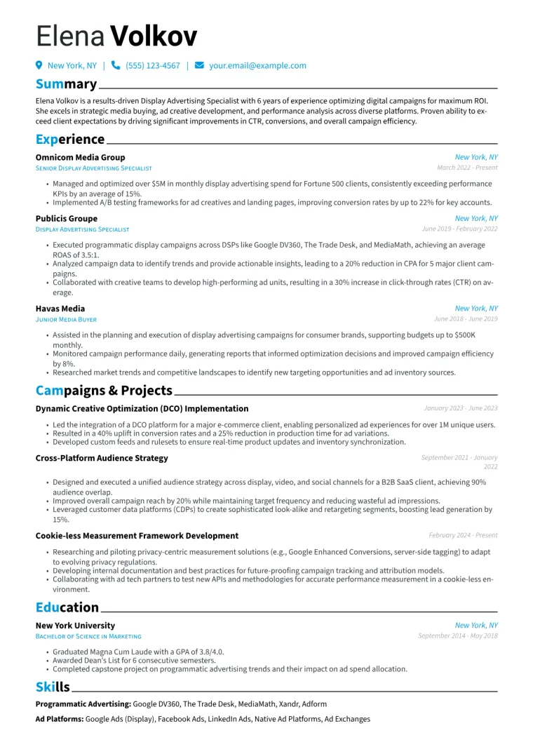Display Advertising Specialist Resume Example CV template preview
