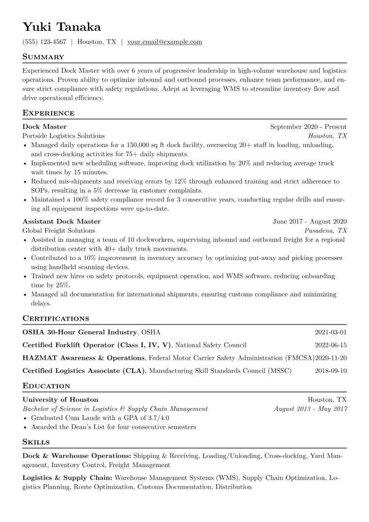 Dock Master Resume Example CV template preview