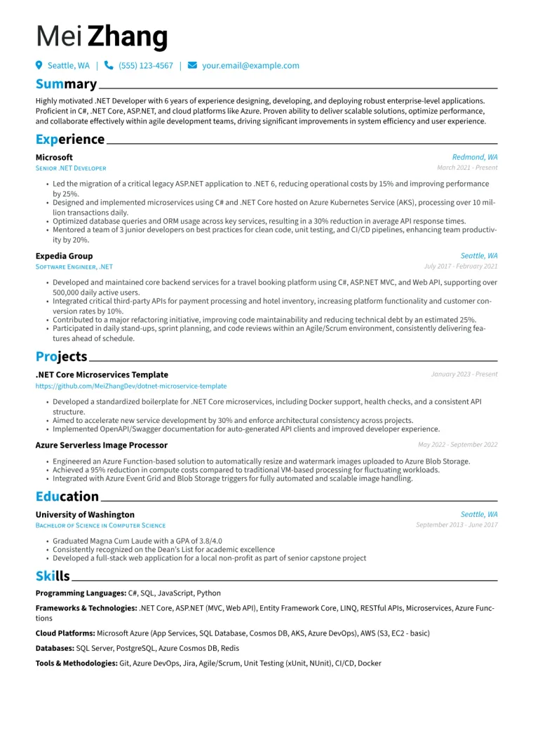 .NET Developer Resume Example CV template preview