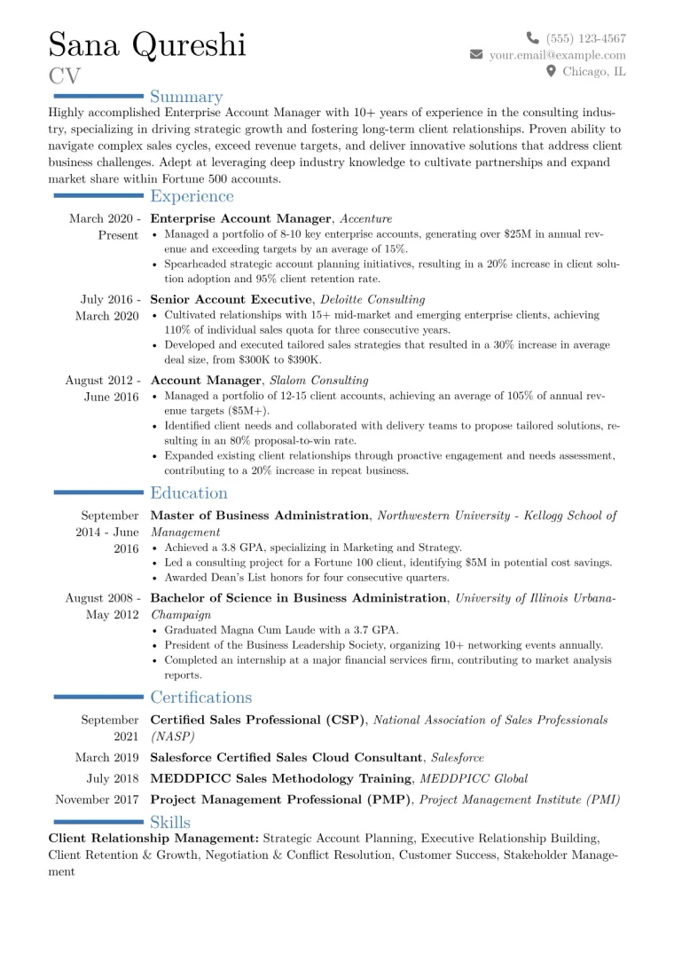 Enterprise Account Manager Resume Example CV template preview