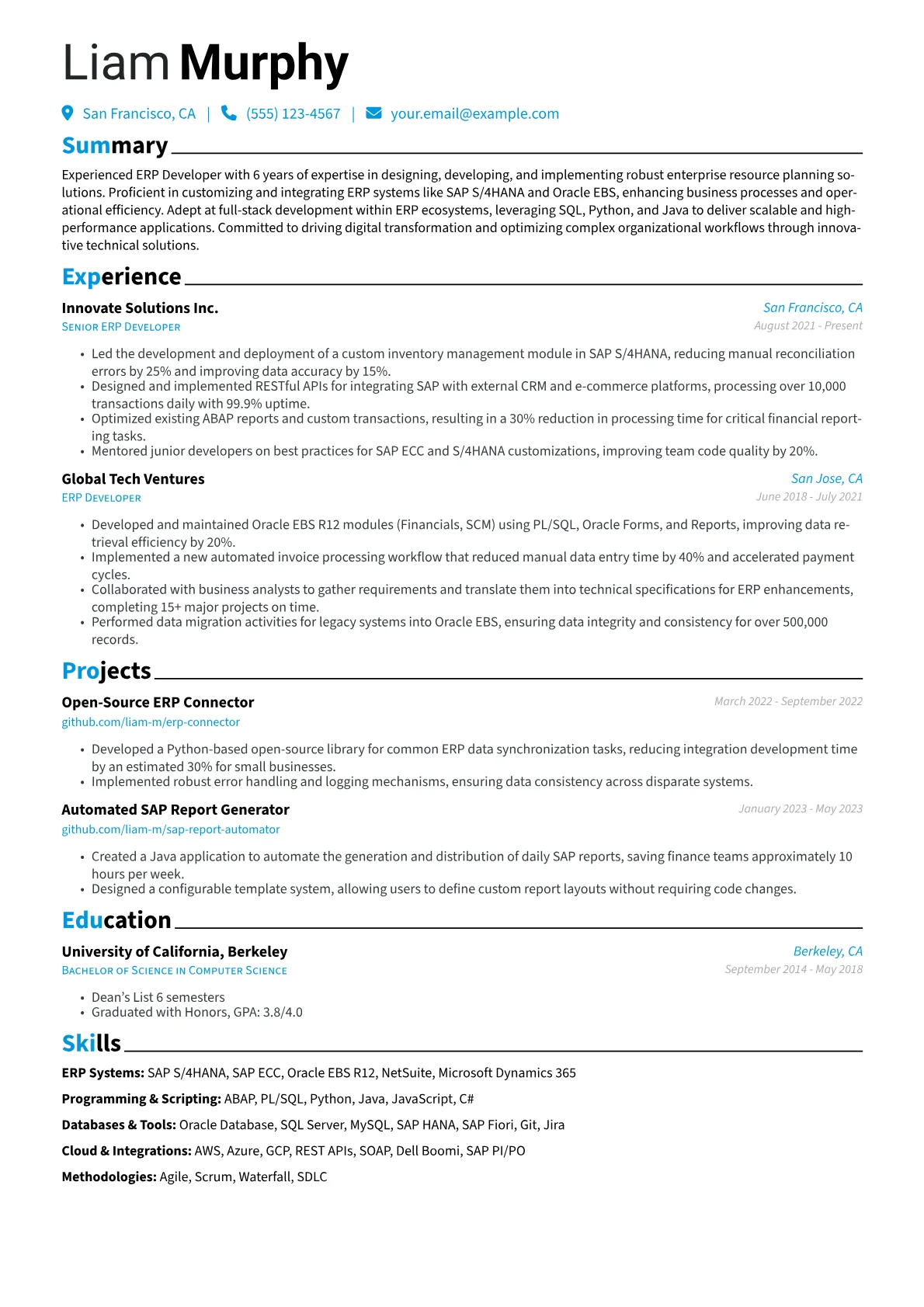 ERP Developer Resume Example CV template - Page 1