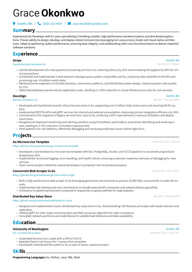 Go Developer Resume Example CV template preview