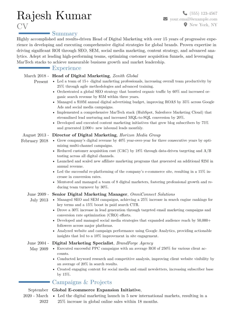 Head of Digital Marketing Resume Example CV template preview