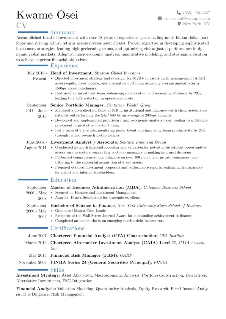 Head of Investment Resume Example CV template preview