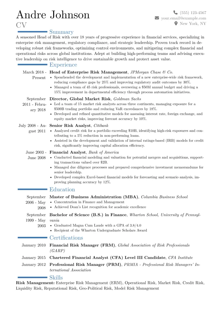 Head of Risk Resume Example CV template preview