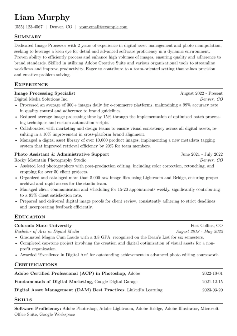 Image Processor Resume Example CV template preview